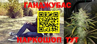 мяу мяу мука Новодвинск