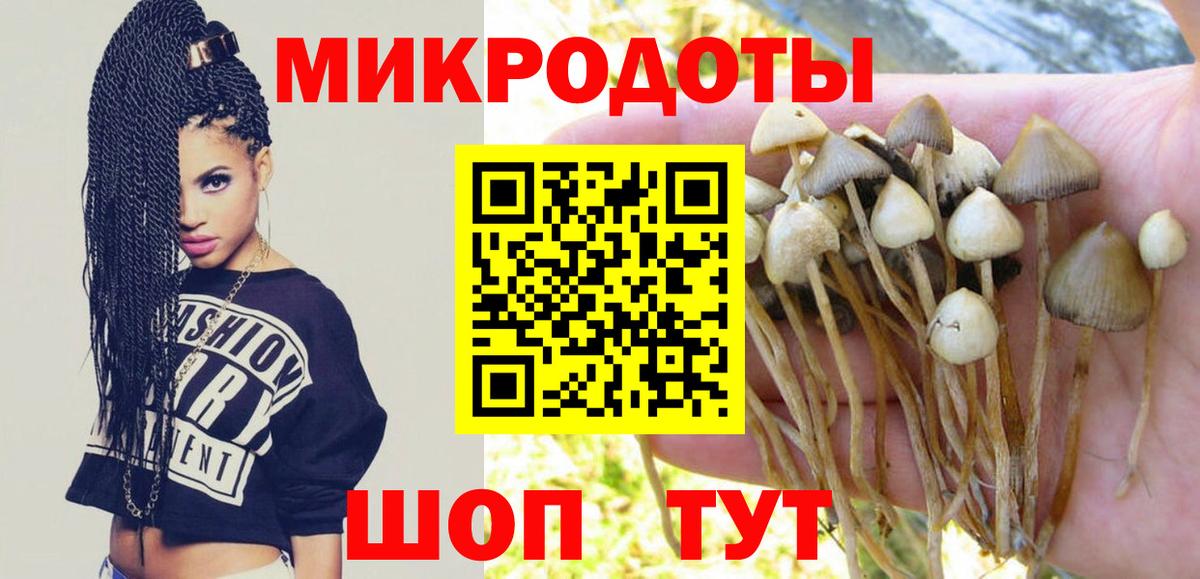 Псилоцибиновые грибы GOLDEN TEACHER Россошь