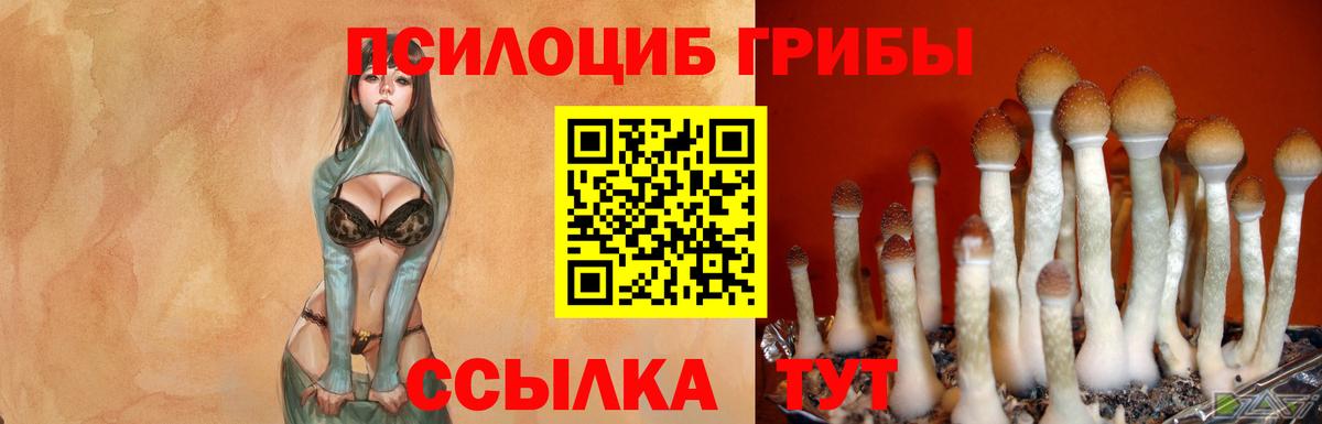 Галлюциногенные грибы мухоморы  Псилоцибиновые грибы прущие грибы  Вход с VPN  Россошь 