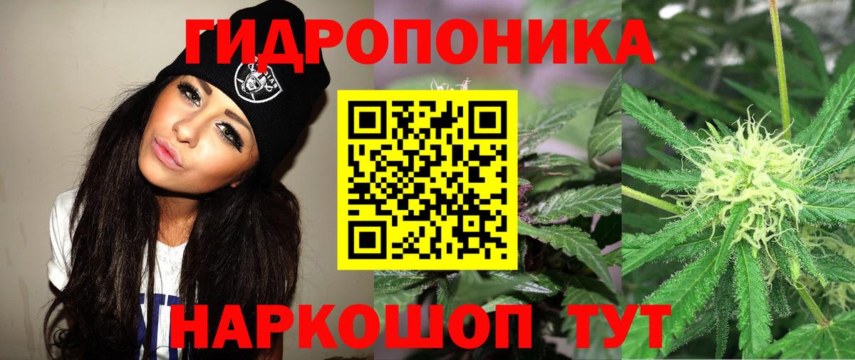 Россошь  Марихуана план  МАРИХУАНА планчик  Вход с VPN  Марихуана THC 21%  МАРИХУАНА THC 21% 